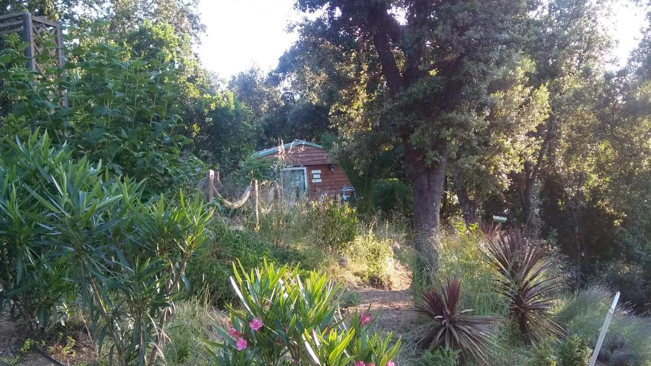 Le Petit Chalet Porticcio  Kültér fotó